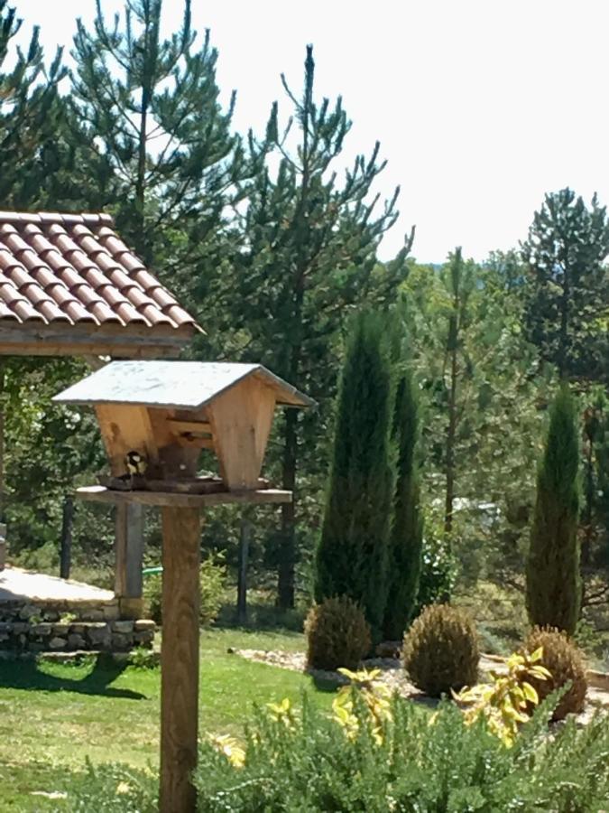 Le Lion D'Or En Perigord Bed and Breakfast Mauzac-et-Grand-Castang Buitenkant foto