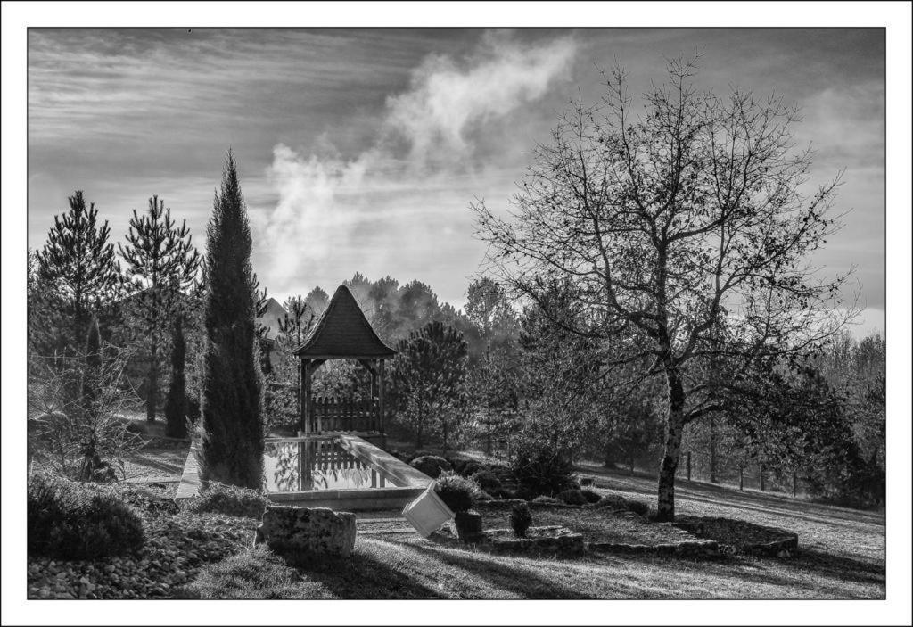Le Lion D'Or En Perigord Bed and Breakfast Mauzac-et-Grand-Castang Buitenkant foto