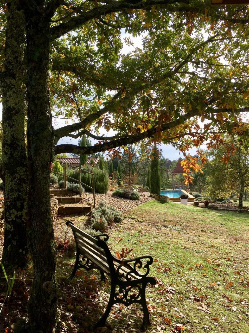 Le Lion D'Or En Perigord Bed and Breakfast Mauzac-et-Grand-Castang Buitenkant foto